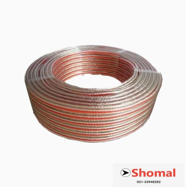 کابل اسپیکر