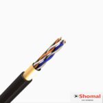 کابل CAT6 SFTP outdoor رویان