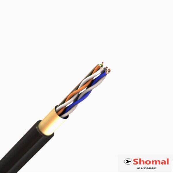 کابل CAT6 SFTP outdoor رویان