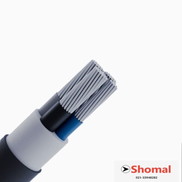 کابل آلومینیوم 10*2